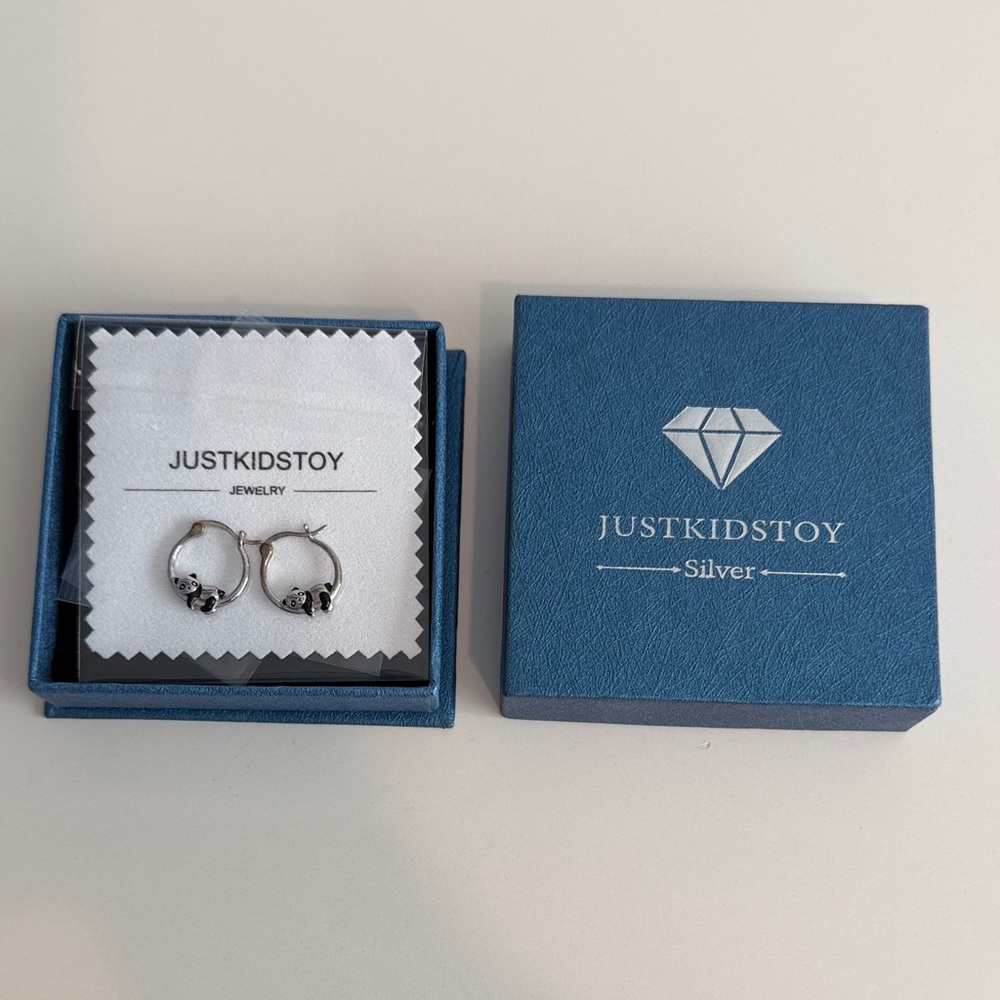 Silver Earrings